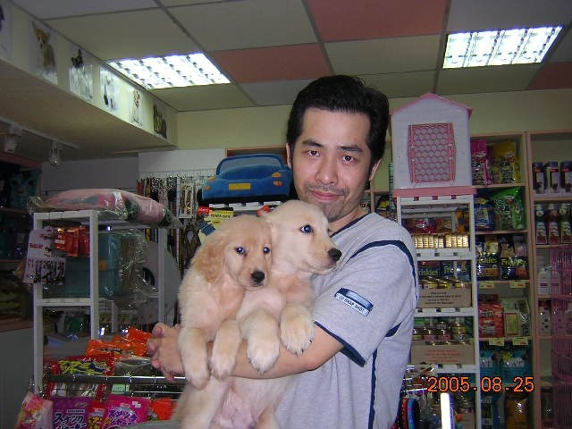 陈道明的第六张照片--永泰征婚网