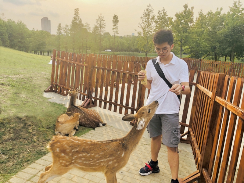 米兰的小铁匠的第一张照片--永泰征婚网